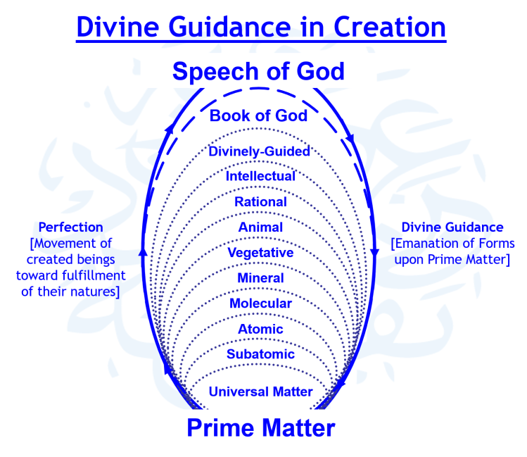 divine-guidance-in-creation